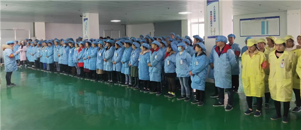 人才梯队